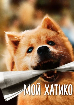 Мой Хатико