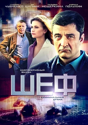 Шеф (сериал, +6 сезон)
