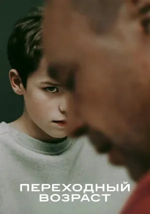 Переходный возраст (сериал)
